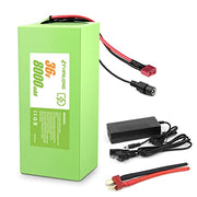 H HAILONG 36V 8Ah 288Wh Ebike Battery, Electric Bike Scooter Lithium Battery with Charger,2A Charger and BMS for 250W 350W 500W Motor(36v 8Ah)