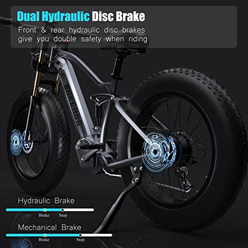 DAMSON Electric Bike for Adult 1000W Ebike 48V 20AH Removable Battery 26"X4"Fat Tire up to 30MPH &75 Miles Long Range Off Road Beach Mountain Electric Bicycle with Dual Hydraulic Disc Brakes