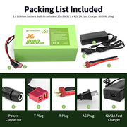 H HAILONG 36V 8Ah 288Wh Ebike Battery, Electric Bike Scooter Lithium Battery with Charger,2A Charger and BMS for 250W 350W 500W Motor(36v 8Ah)