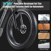 DAMSON Electric Bike for Adult 1000W Ebike 48V 20AH Removable Battery 26"X4"Fat Tire up to 30MPH &75 Miles Long Range Off Road Beach Mountain Electric Bicycle with Dual Hydraulic Disc Brakes