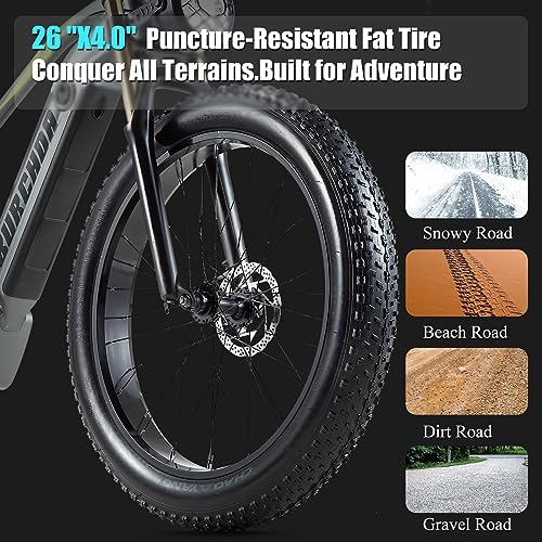 DAMSON Electric Bike for Adult 1000W Ebike 48V 20AH Removable Battery 26"X4"Fat Tire up to 30MPH &75 Miles Long Range Off Road Beach Mountain Electric Bicycle with Dual Hydraulic Disc Brakes