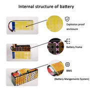 Cao MM 48v Battery, 10Ah/ 14AH/ 20AH Ebike Battery for 200-1200W Electric Bike Bicycle, Scooter and Other Motor